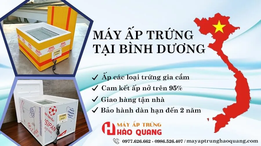 may-ap-trung-tai-binh-duong.webp